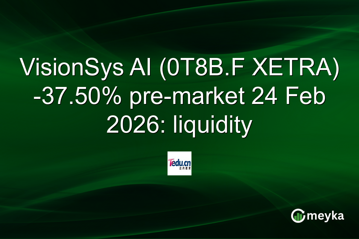 VisionSys AI (0T8B.F XETRA) -37.50% pre-market 24 Feb 2026: liquidity