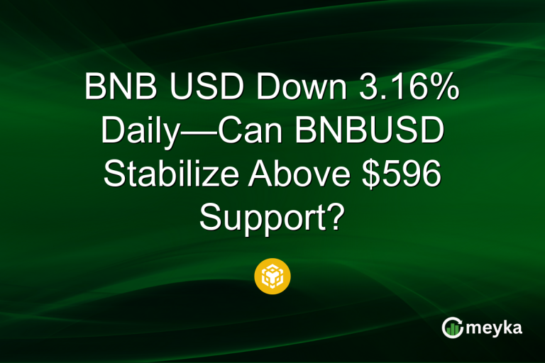 BNB USD Down 3.16% Daily—Can BNBUSD Stabilize Above $596 Support?