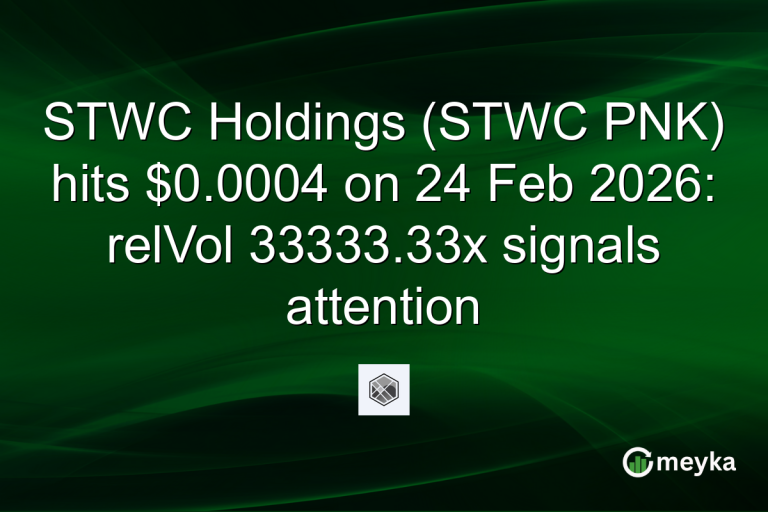 STWC Holdings (STWC PNK) hits $0.0004 on 24 Feb 2026: relVol 33333.33x signals attention