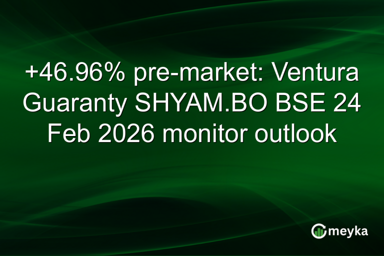 +46.96% pre-market: Ventura Guaranty SHYAM.BO BSE 24 Feb 2026 monitor outlook
