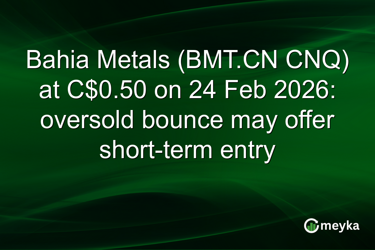 Bahia Metals (BMT.CN CNQ) at C$0.50 on 24 Feb 2026: oversold bounce may offer short-term entry