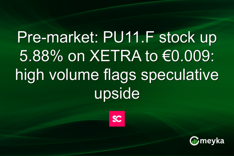 Pre-market: PU11.F stock up 5.88% on XETRA to €0.009: high volume flags speculative upside