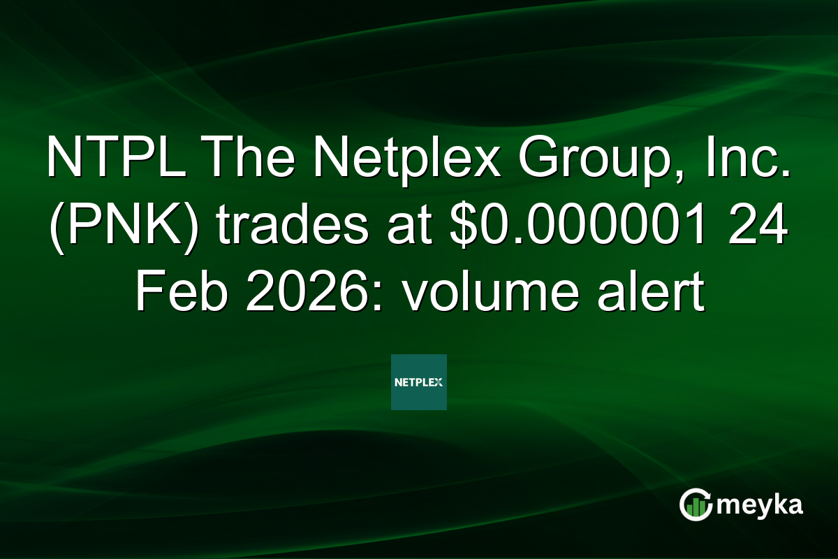 NTPL The Netplex Group, Inc. (PNK) trades at $0.000001 24 Feb 2026: volume alert