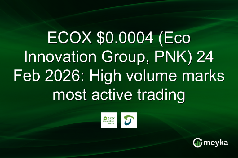 ECOX $0.0004 (Eco Innovation Group, PNK) 24 Feb 2026: High volume marks most active trading