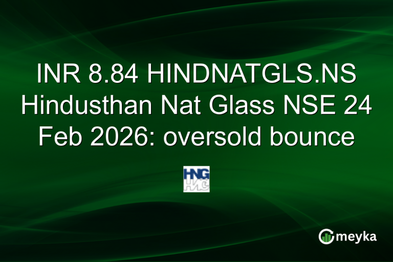 INR 8.84 HINDNATGLS.NS Hindusthan Nat Glass NSE 24 Feb 2026: oversold bounce
