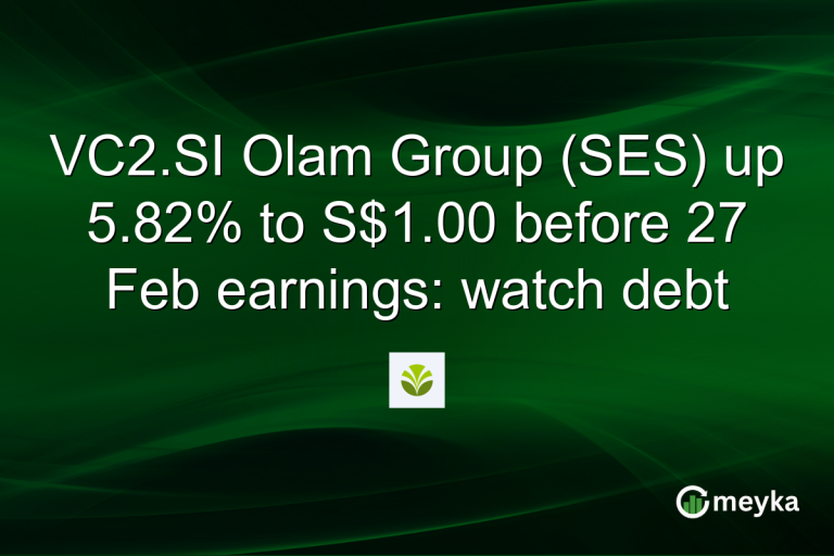 VC2.SI Olam Group (SES) up 5.82% to S$1.00 before 27 Feb earnings: watch debt