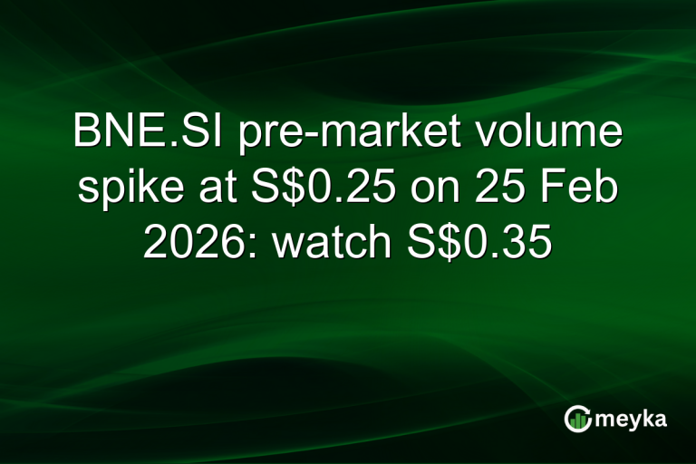 BNE.SI pre-market volume spike at S$0.25 on 25 Feb 2026: watch S$0.35