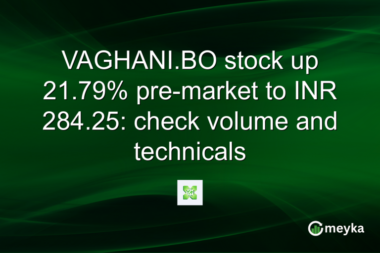 VAGHANI.BO stock up 21.79% pre-market to INR 284.25: check volume and technicals