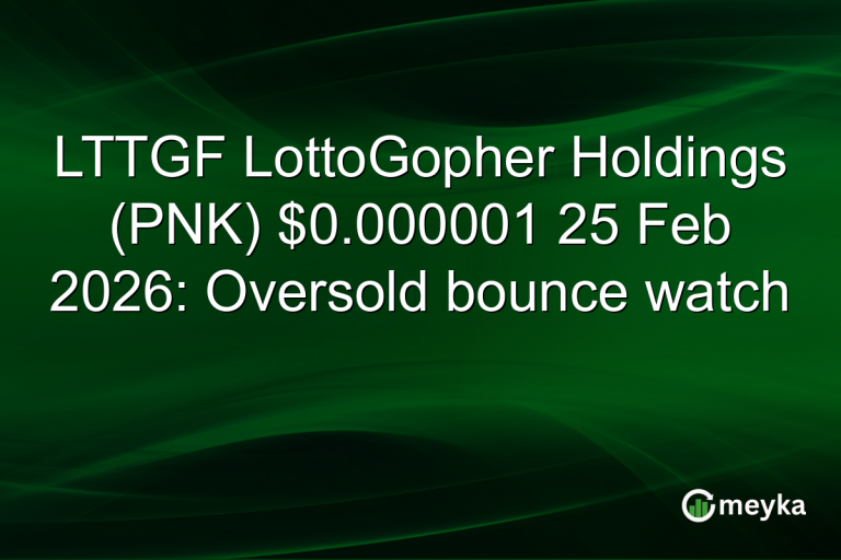 LTTGF LottoGopher Holdings (PNK) $0.000001 25 Feb 2026: Oversold bounce watch