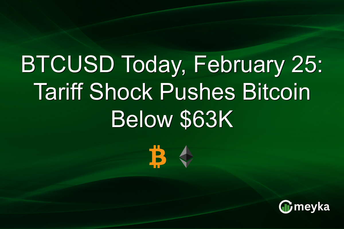 BTCUSD Today, February 25: Tariff Shock Pushes Bitcoin Below $63K