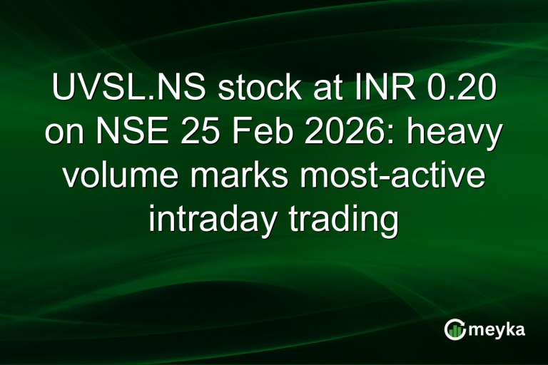 UVSL.NS stock at INR 0.20 on NSE 25 Feb 2026: heavy volume marks most-active intraday trading