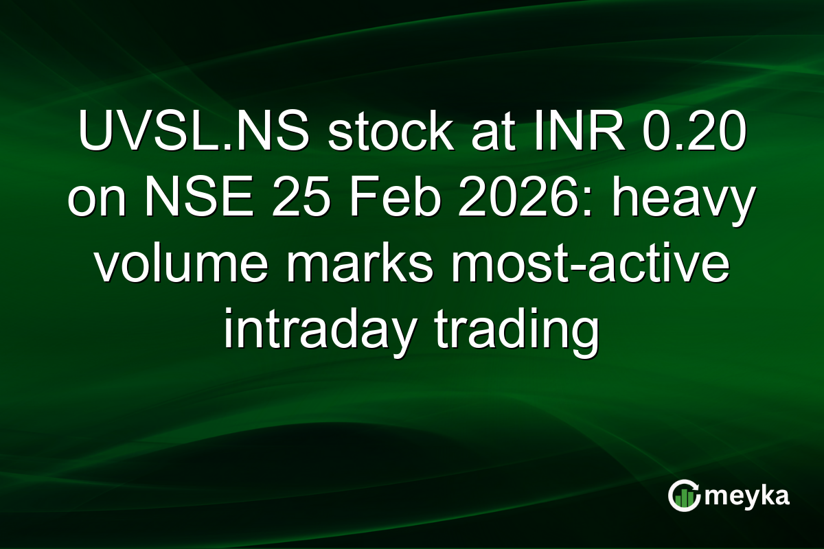 UVSL.NS stock at INR 0.20 on NSE 25 Feb 2026: heavy volume marks most-active intraday trading