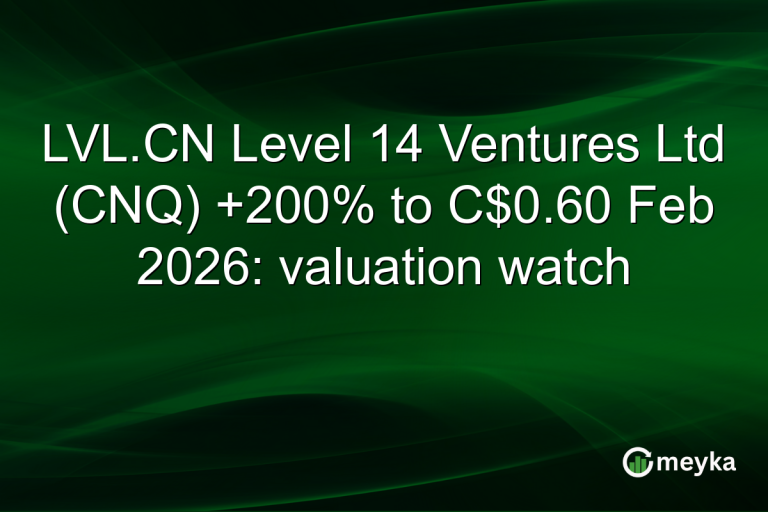 LVL.CN Level 14 Ventures Ltd (CNQ) +200% to C$0.60 Feb 2026: valuation watch