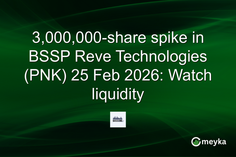 3,000,000-share spike in BSSP Reve Technologies (PNK) 25 Feb 2026: Watch liquidity