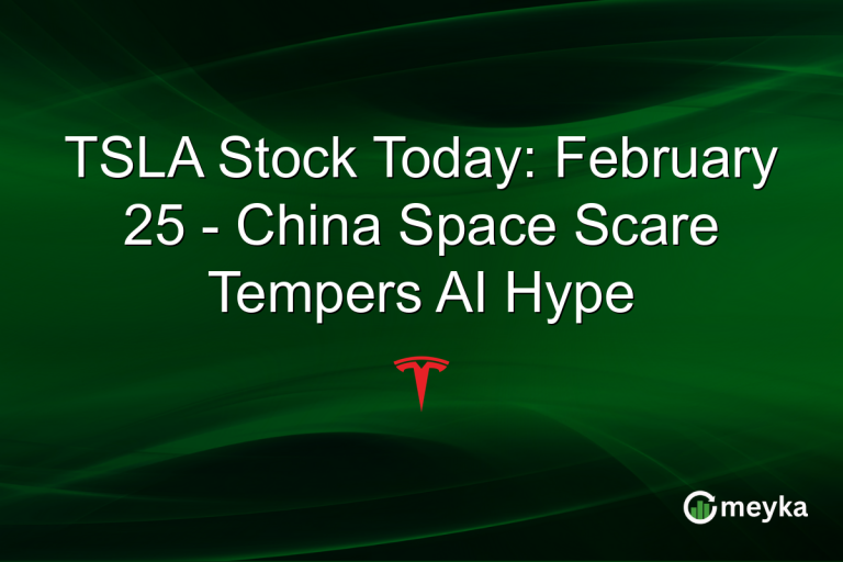 TSLA Stock Today: February 25 - China Space Scare Tempers AI Hype