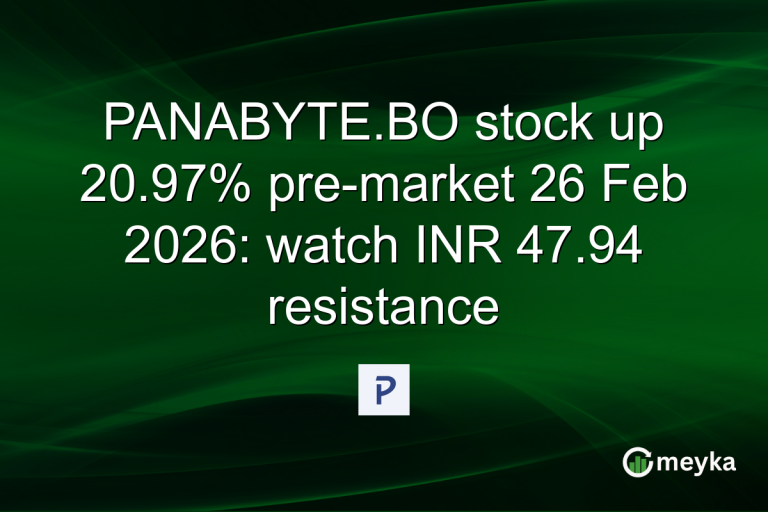 PANABYTE.BO stock up 20.97% pre-market 26 Feb 2026: watch INR 47.94 resistance