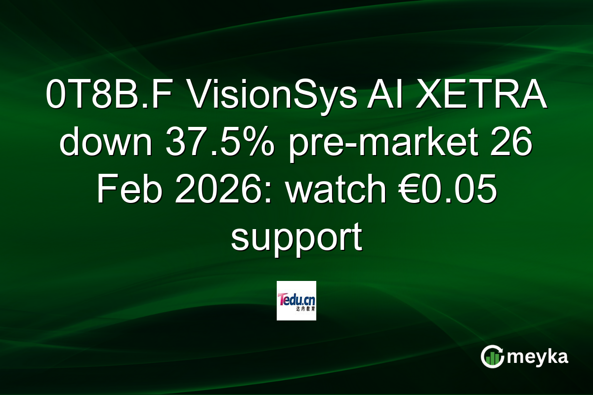 0T8B.F VisionSys AI XETRA down 37.5% pre-market 26 Feb 2026: watch €0.05 support