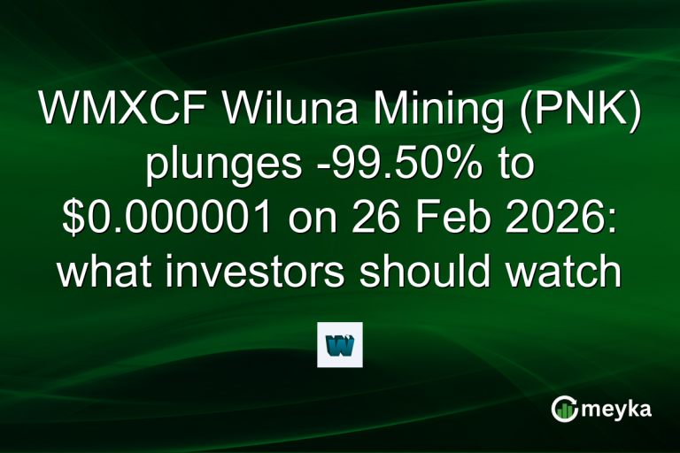 WMXCF Wiluna Mining (PNK) plunges -99.50% to $0.000001 on 26 Feb 2026: what investors should watch