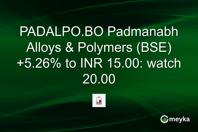 PADALPO.BO Padmanabh Alloys & Polymers (BSE) +5.26% to INR 15.00: watch 20.00