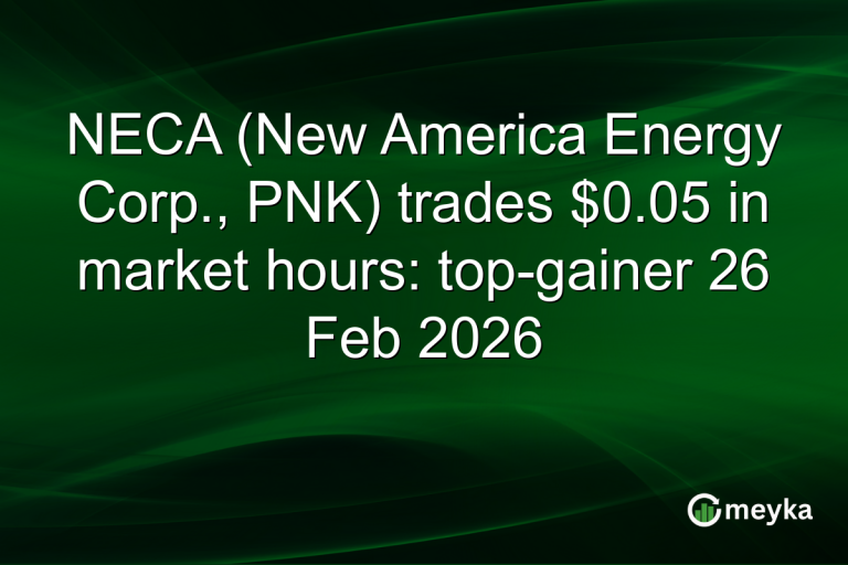 NECA (New America Energy Corp., PNK) trades $0.05 in market hours: top-gainer 26 Feb 2026