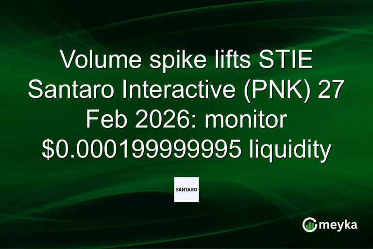 Volume spike lifts STIE Santaro Interactive (PNK) 27 Feb 2026: monitor $0.000199999995 liquidity
