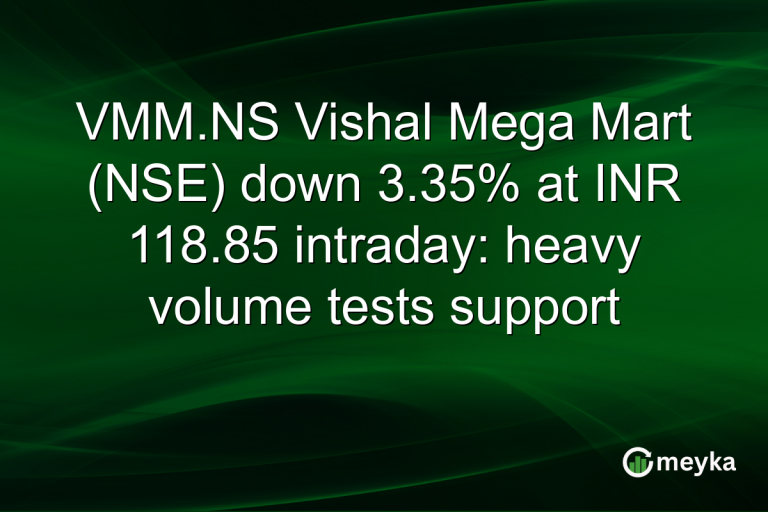 VMM.NS Vishal Mega Mart (NSE) down 3.35% at INR 118.85 intraday: heavy volume tests support