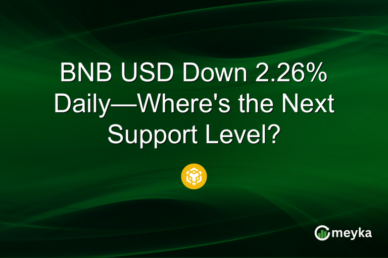 BNB USD Down 2.26% Daily—Where's the Next Support Level?