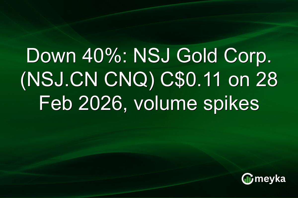 Down 40%: NSJ Gold Corp. (NSJ.CN CNQ) C$0.11 on 28 Feb 2026, volume spikes