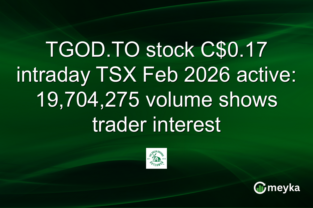TGOD.TO stock C$0.17 intraday TSX Feb 2026 active: 19,704,275 volume shows trader interest