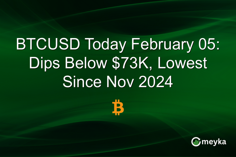 BTCUSD Today February 05: Dips Below $73K, Lowest Since Nov 2024