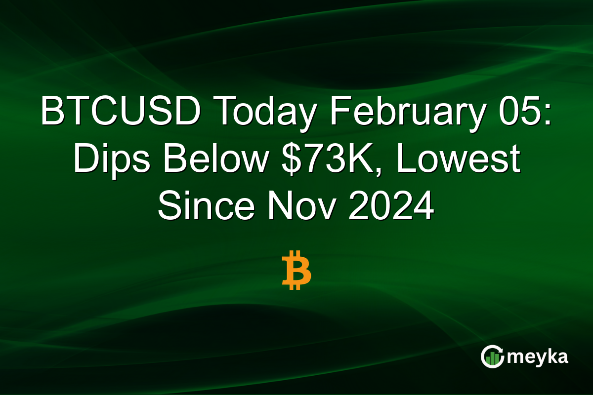 BTCUSD Today February 05: Dips Below $73K, Lowest Since Nov 2024