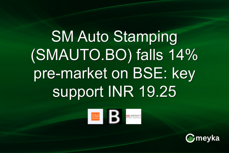 SM Auto Stamping (SMAUTO.BO) falls 14% pre-market on BSE: key support INR 19.25
