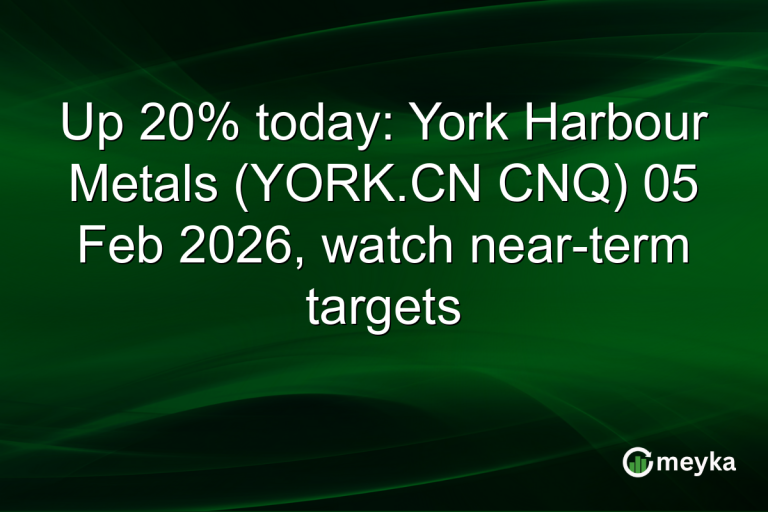Up 20% today: York Harbour Metals (YORK.CN CNQ) 05 Feb 2026, watch near-term targets