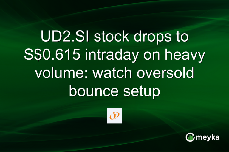 UD2.SI stock drops to S$0.615 intraday on heavy volume: watch oversold bounce setup