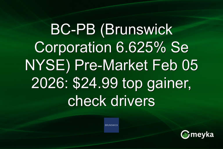 BC-PB (Brunswick Corporation 6.625% Se NYSE) Pre-Market Feb 05 2026: $24.99 top gainer, check drivers