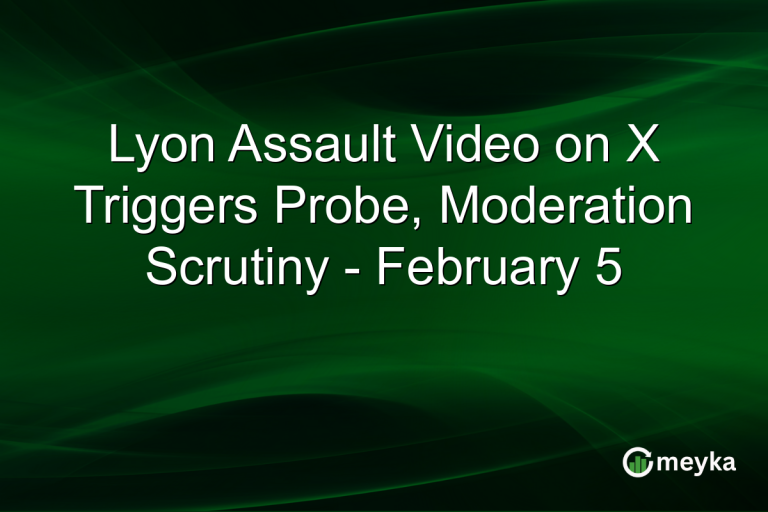 Lyon Assault Video on X Triggers Probe, Moderation Scrutiny - February 5