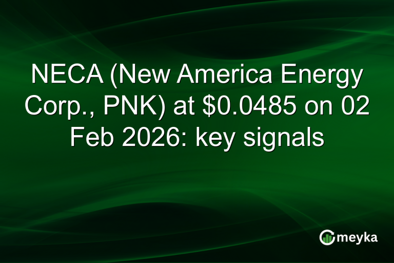 NECA (New America Energy Corp., PNK) at $0.0485 on 02 Feb 2026: key signals