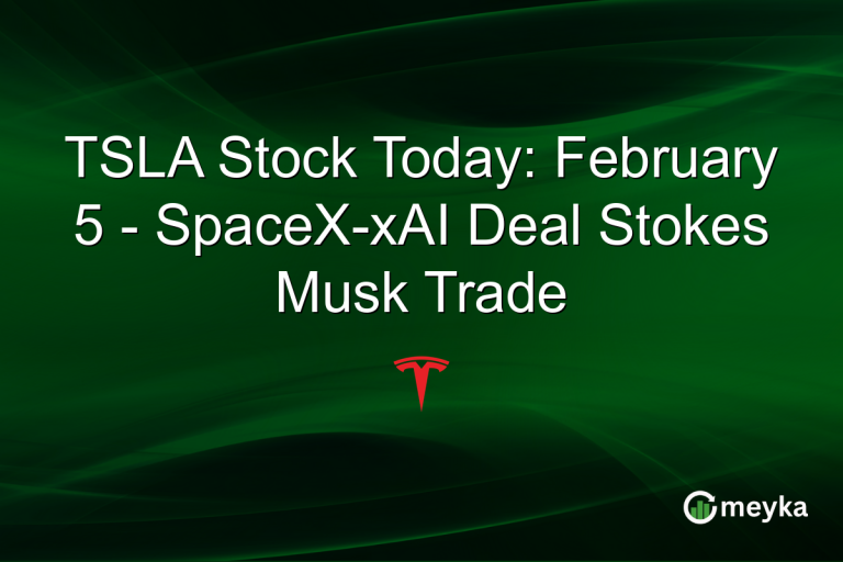 TSLA Stock Today: February 5 - SpaceX-xAI Deal Stokes Musk Trade