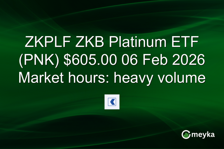 ZKPLF ZKB Platinum ETF (PNK) $605.00 06 Feb 2026 Market hours: heavy volume