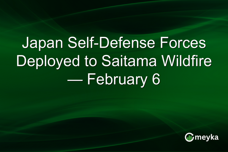 Japan Self-Defense Forces Deployed to Saitama Wildfire — February 6