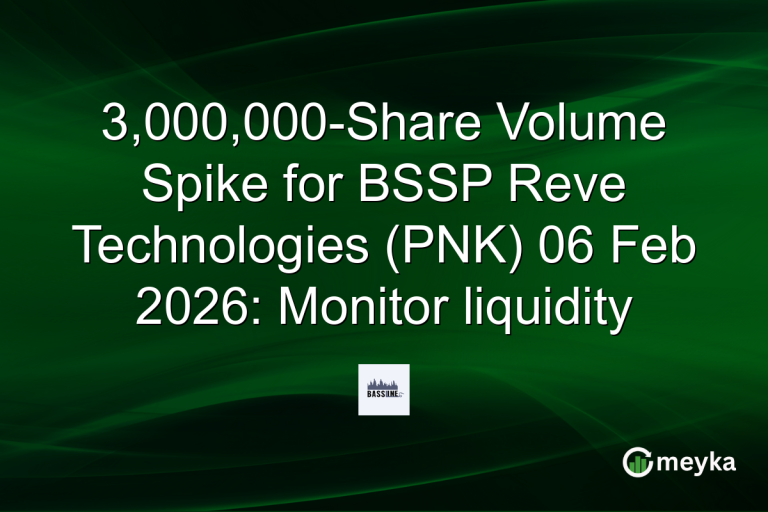 3,000,000-Share Volume Spike for BSSP Reve Technologies (PNK) 06 Feb 2026: Monitor liquidity