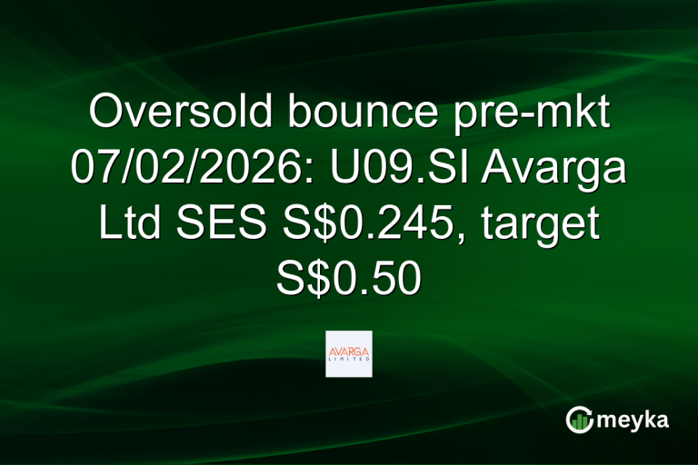 Oversold bounce pre-mkt 07/02/2026: U09.SI Avarga Ltd SES S$0.245, target S$0.50