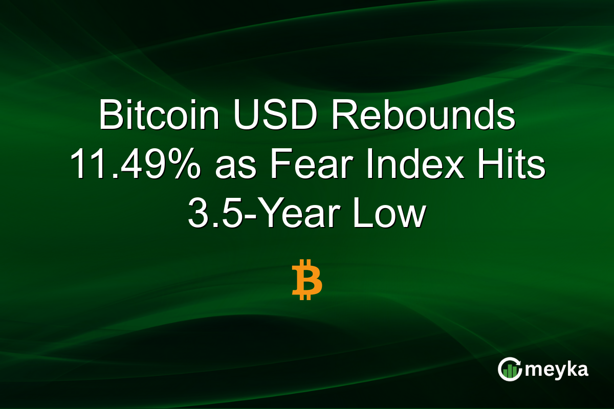 Bitcoin USD Rebounds 11.49% as Fear Index Hits 3.5-Year Low