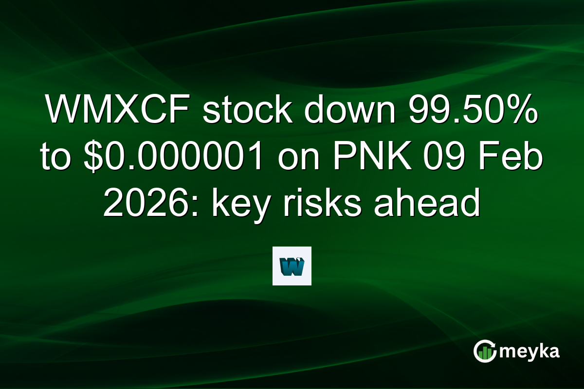 WMXCF stock down 99.50% to $0.000001 on PNK 09 Feb 2026: key risks ahead