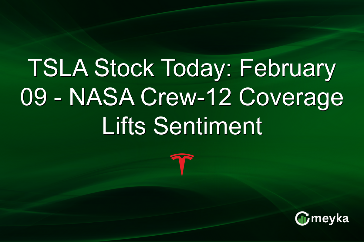 TSLA Stock Today: February 09 - NASA Crew-12 Coverage Lifts Sentiment