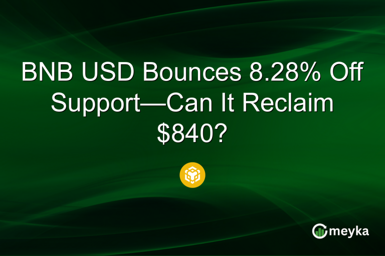 BNB USD Bounces 8.28% Off Support—Can It Reclaim $840?