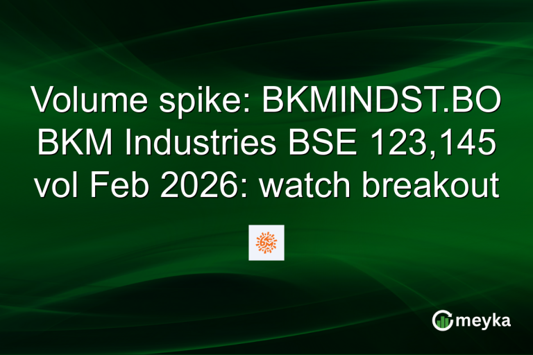 Volume spike: BKMINDST.BO BKM Industries BSE 123,145 vol Feb 2026: watch breakout