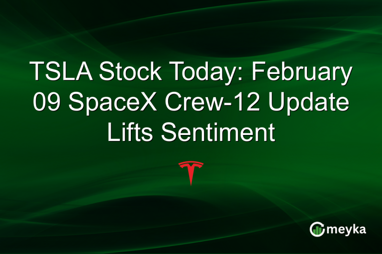 TSLA Stock Today: February 09 SpaceX Crew-12 Update Lifts Sentiment