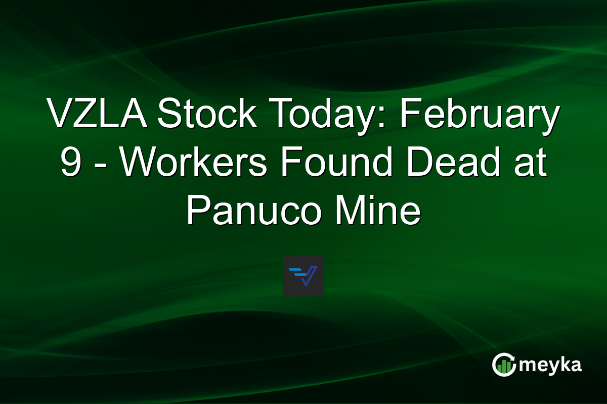 VZLA Stock Today: February 9 - Workers Found Dead at Panuco Mine