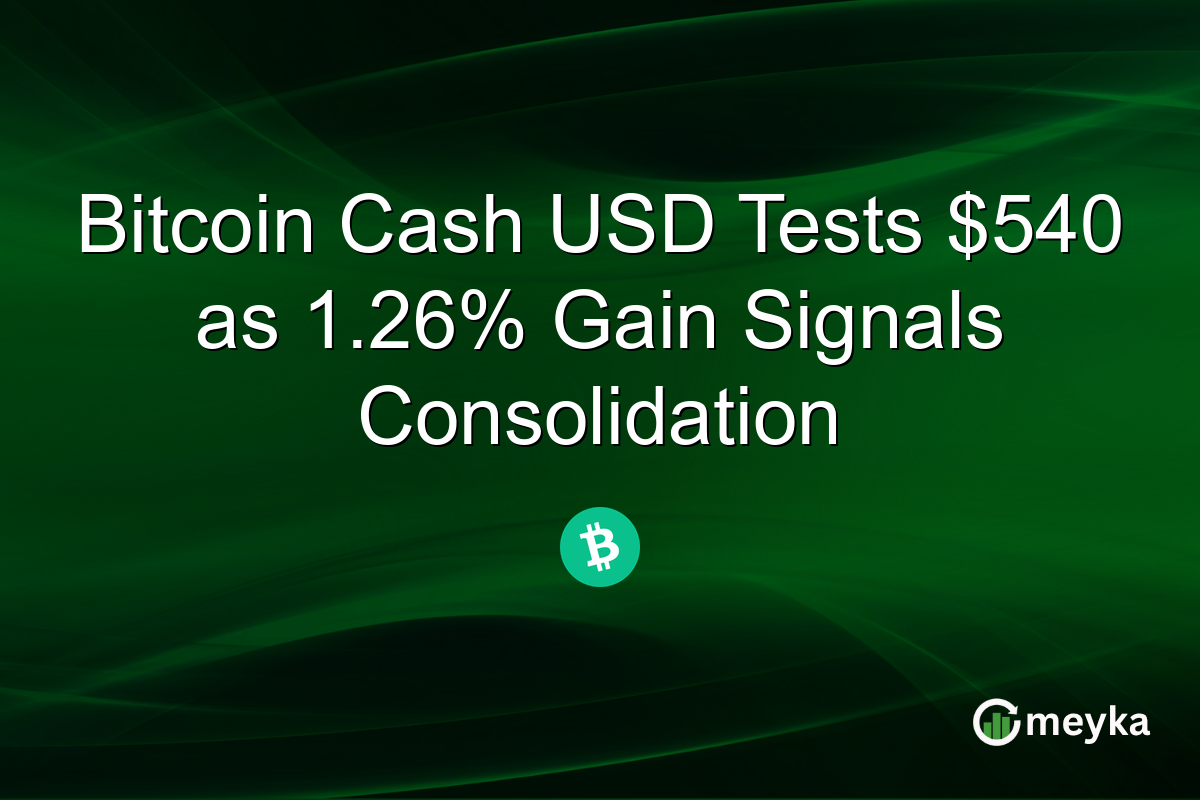 Bitcoin Cash USD Tests $540 as 1.26% Gain Signals Consolidation